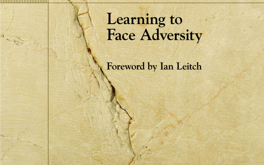 Beyond the Resistance: Learning to Face Adversity (PDF)